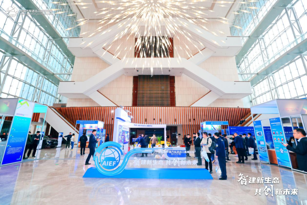 中国车企出海，初出茅庐？